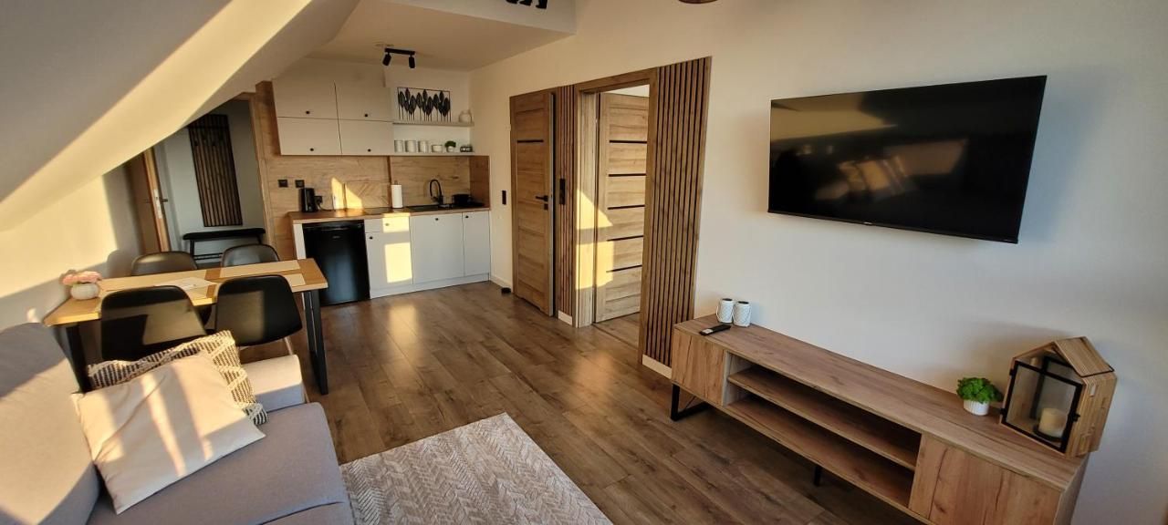 Część dzienna apartamentu z aneksem kuchennym i telewizorem